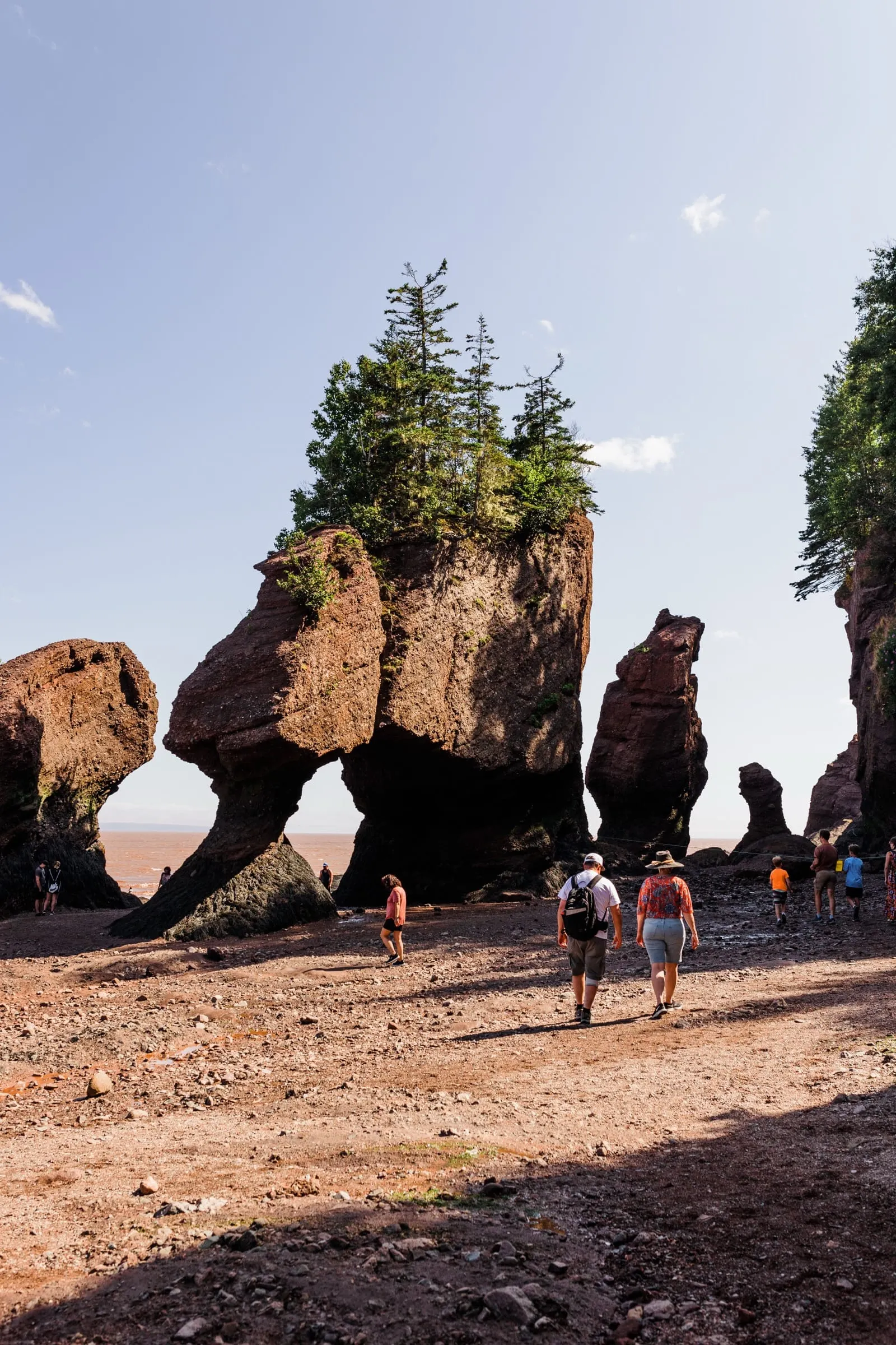 Visitors walking the exposed ocean floor between the tree-topped flowerpot sea stacks at Hopewell Rocks Provincial Park