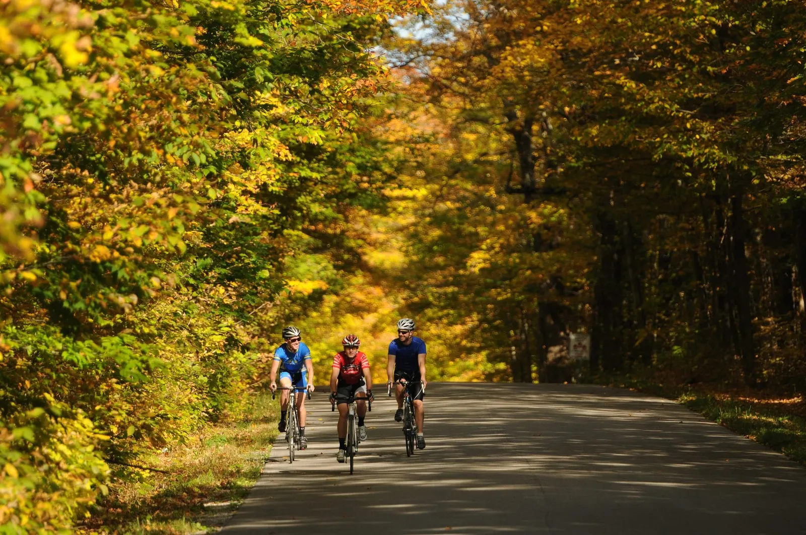 Orillia and Lake Country: Find Fall Close to Home