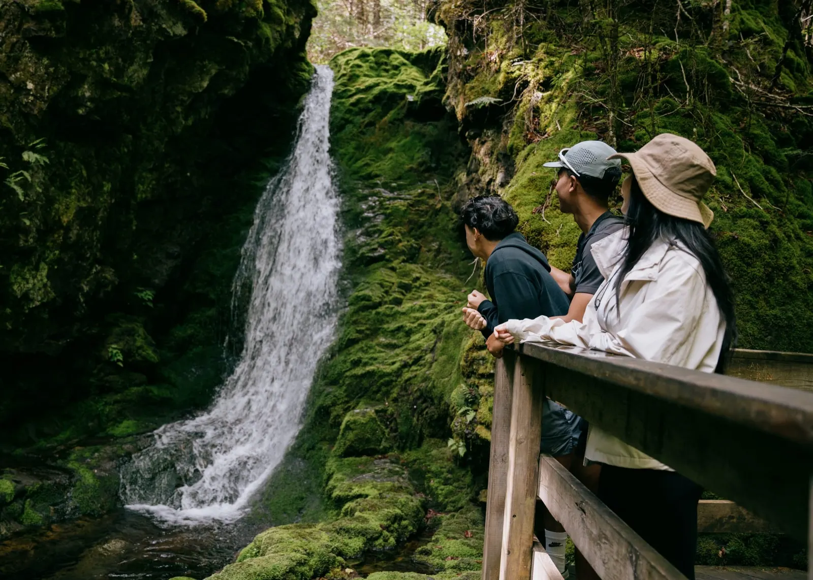 Three hikers watching a waterfall tumble through mossy rock from a wooden lookout in the Acadian forest
