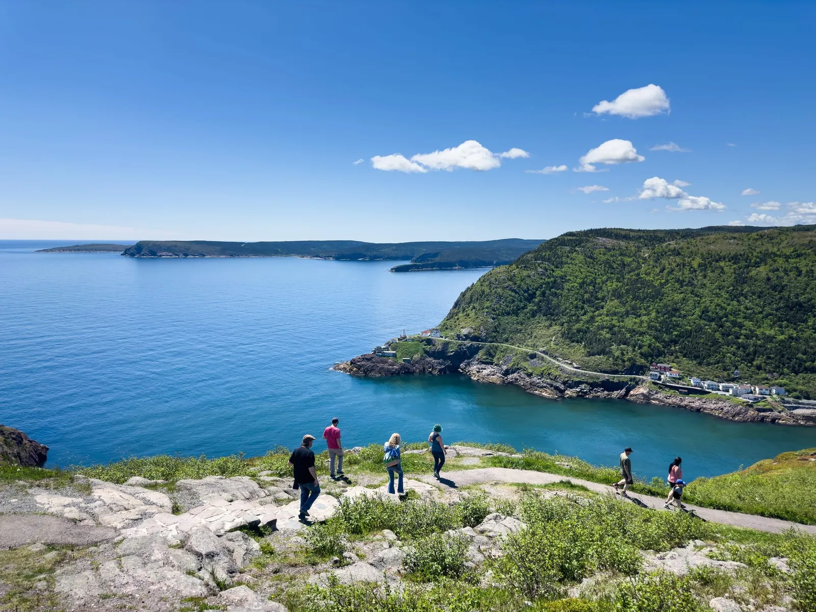 Hikers on the rocky headland at Signal Hill overlooking the harbour entrance and green coastal hills