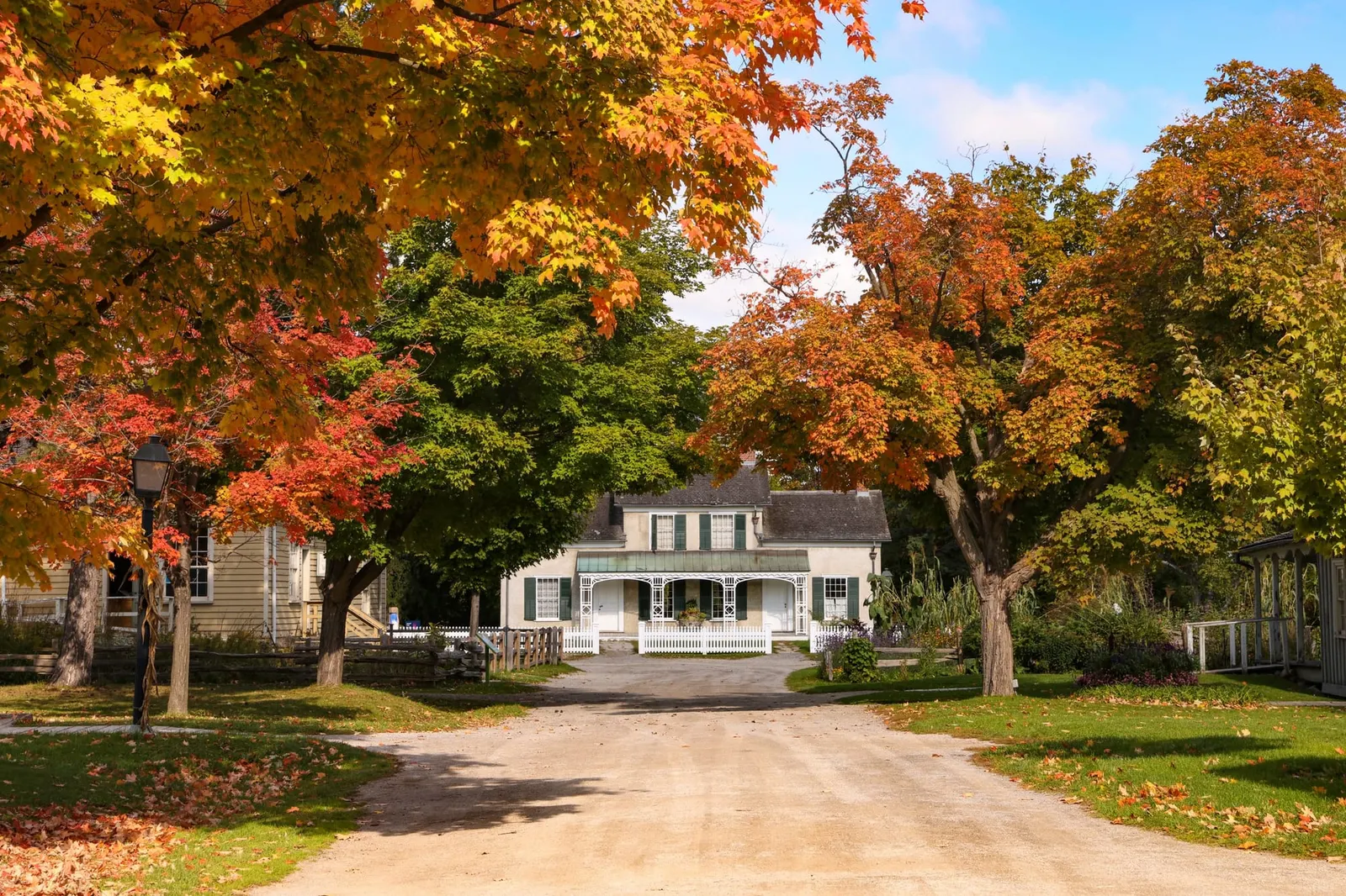 A lane of maple trees in full autumn colour leading to a white-fenced heritage house at The Village at Black Creek
