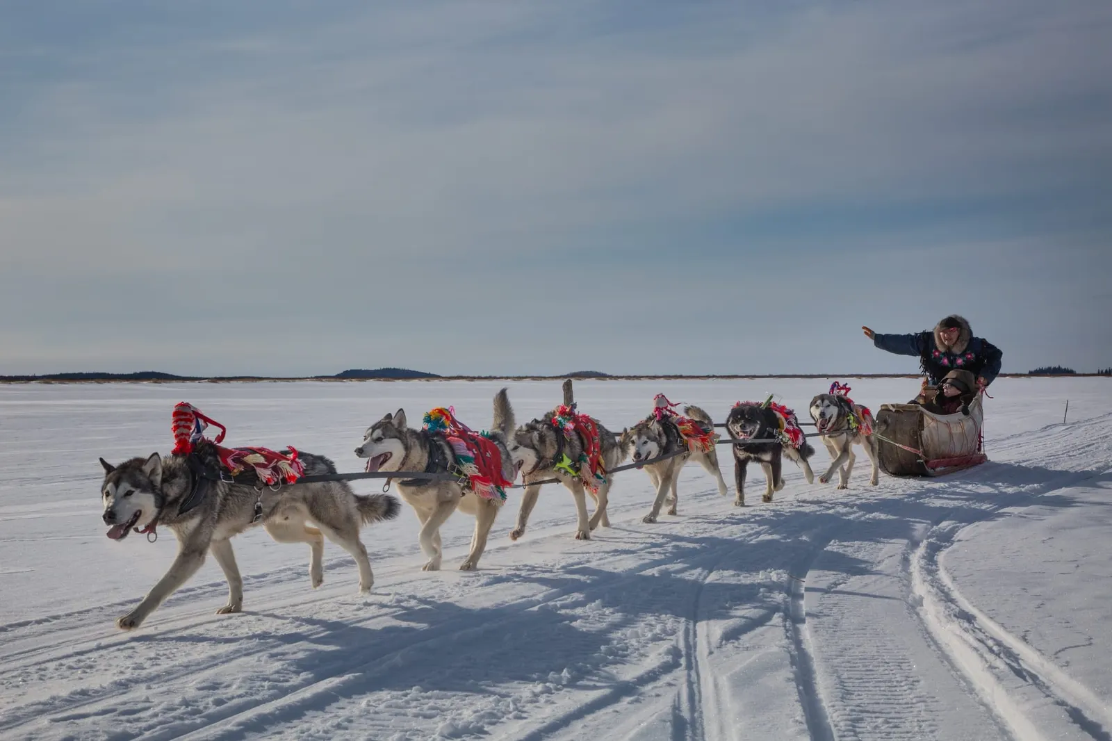 A dog sled team runs across a snow-covered lake under a pale winter sky