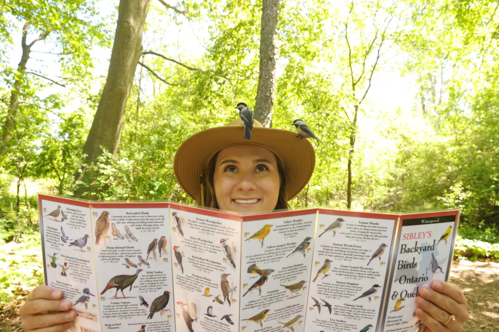 Artsy, Outdoorsy & Spooky: Fall in York Durham Headwaters