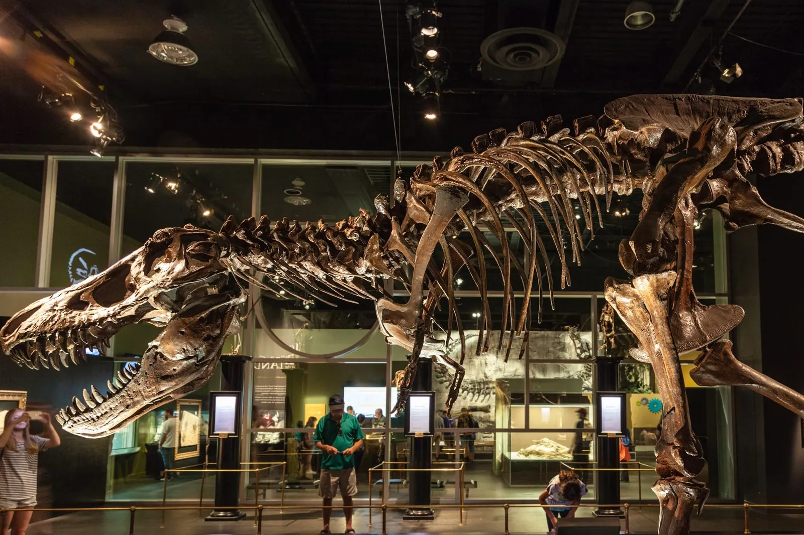 Dinosaurs in Alberta: A Prehistoric Adventure for Every Traveller