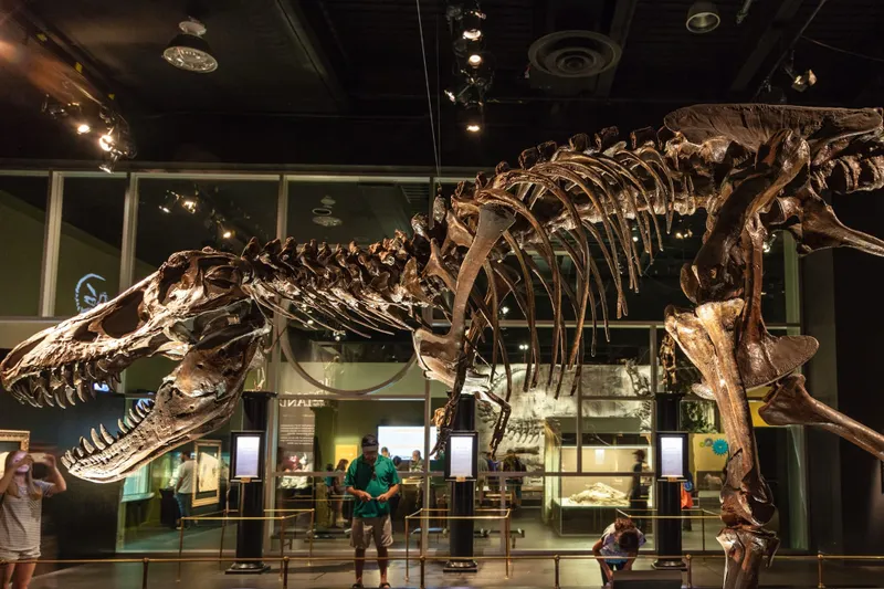 Dinosaurs in Alberta: A Prehistoric Adventure for Every Traveller