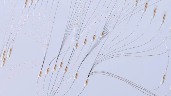 The Rise of the Business Algorithm