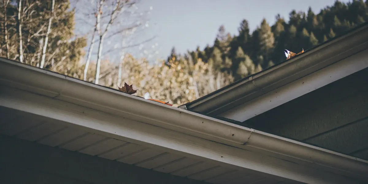 A gutter clogged with autumn leaves, a clear sign of when to clean your gutters.
