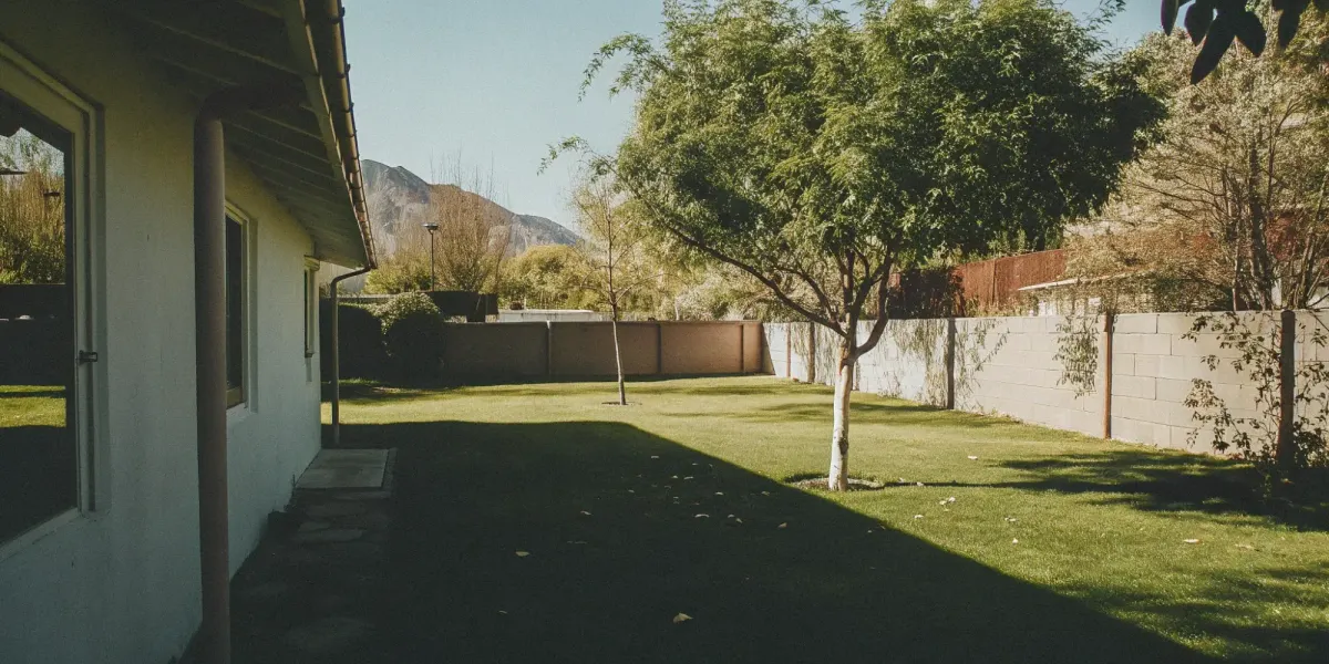 Properly trimmed trees in a fire-wise yard, a result of knowing when to trim trees.