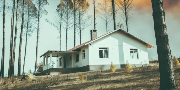 A home surrounded by dry brush, facing insurance non-renewal due to wildfire risk.