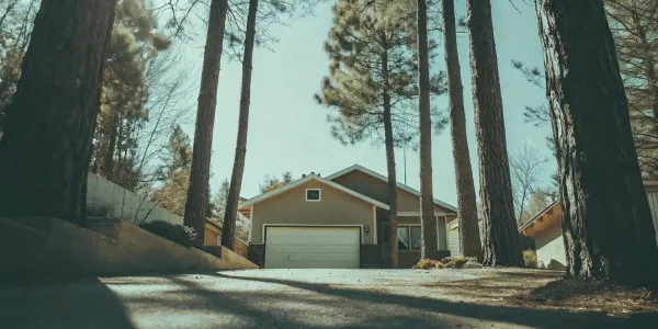 A home surrounded by pine trees with defensible space for wildfire mitigation.