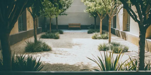 A beautiful, fire-safe yard with low-maintenance landscaping, gravel, and fire-resistant plants.