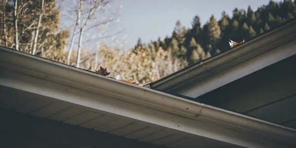 A gutter clogged with autumn leaves, a clear sign of when to clean your gutters.