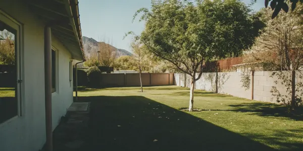 Properly trimmed trees in a fire-wise yard, a result of knowing when to trim trees.