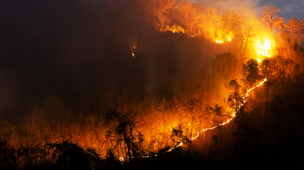 How Embers Enter Homes: The Hidden Entry Points Most Wildfire Inspections Miss