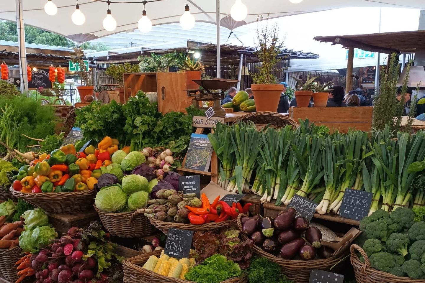 South Africa | The Oranjezicht Farm Market in Cape Town