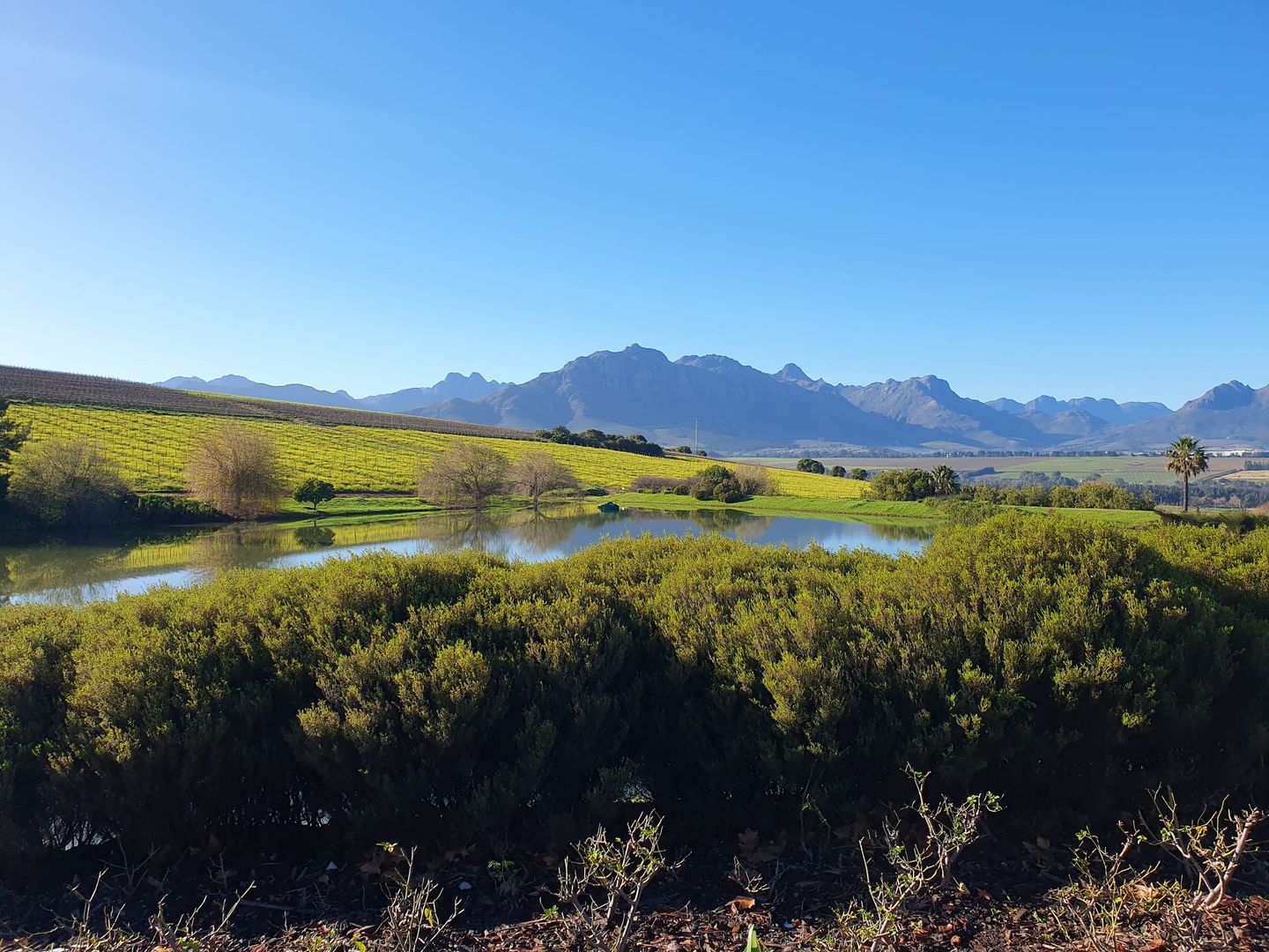South Africa Wineries | Asara Wine Estate & Hotel in Stellenbosch