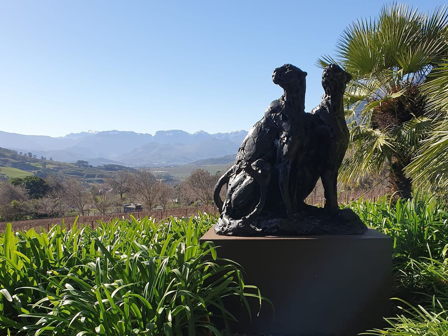 South Africa Wineries | Wine Tasting at the exquisite Delaire Graff