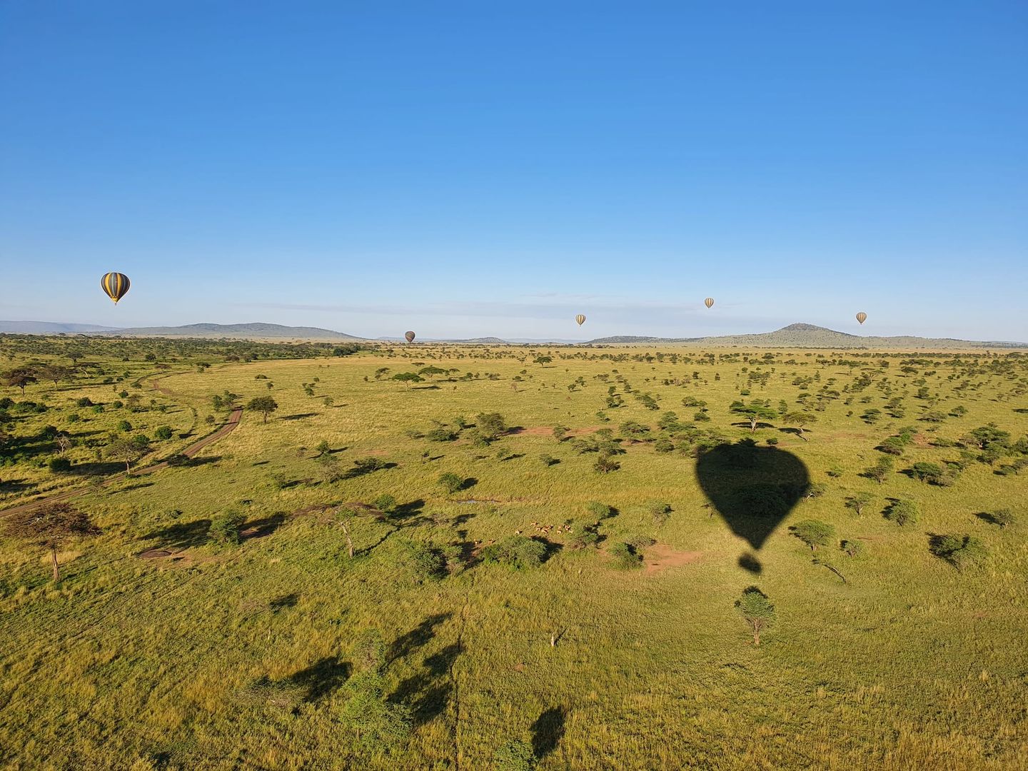 air balloons flying over serengeti for sky safari in tanzania