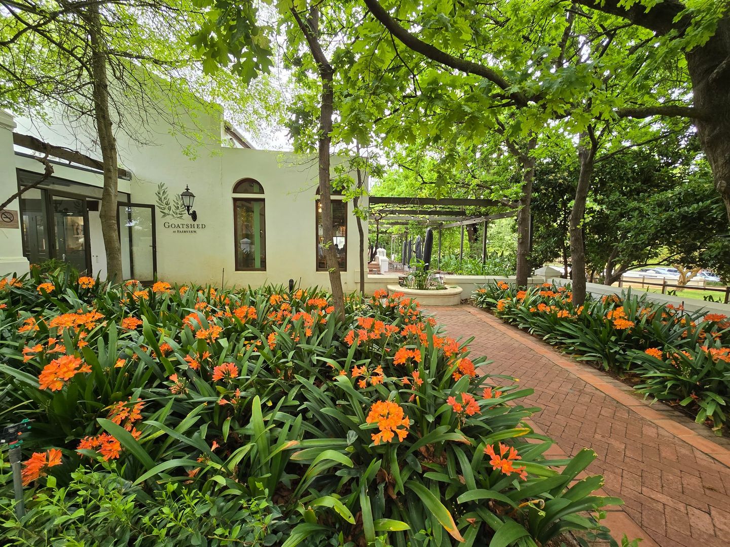 South African Wineries | Fairview Wine & Cheese Review