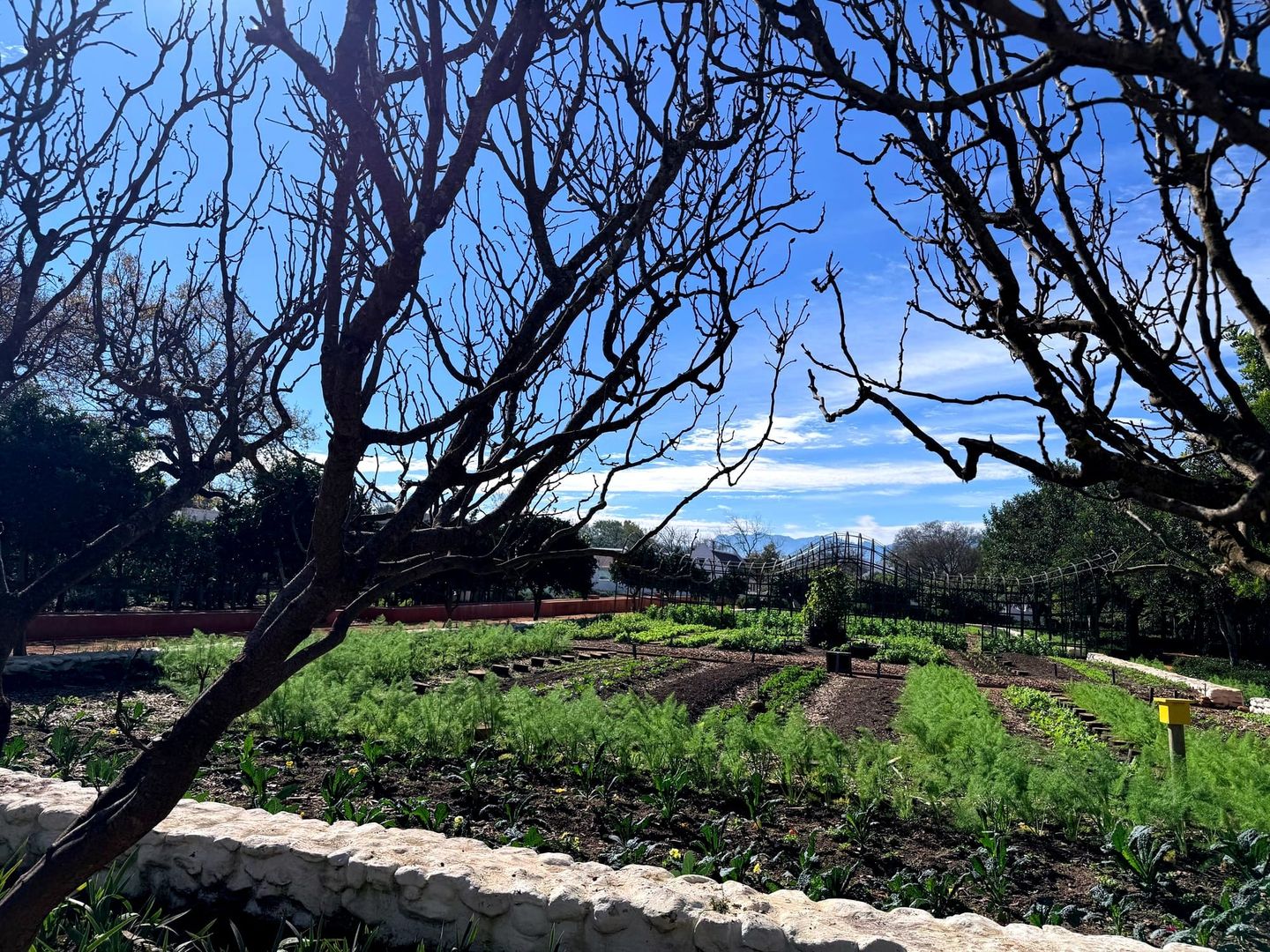 Babylonstoren: A Must-Visit in the Cape Winelands