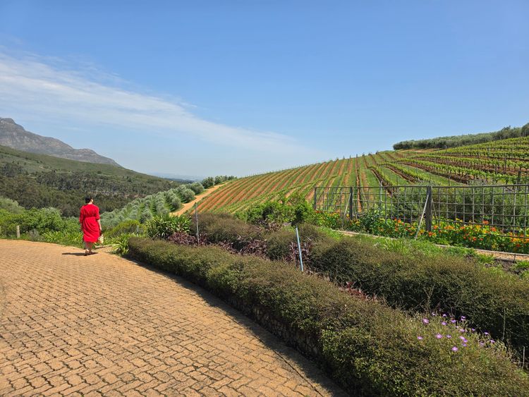 Fashion | What I wore on our Spring Break holiday in Cape Town