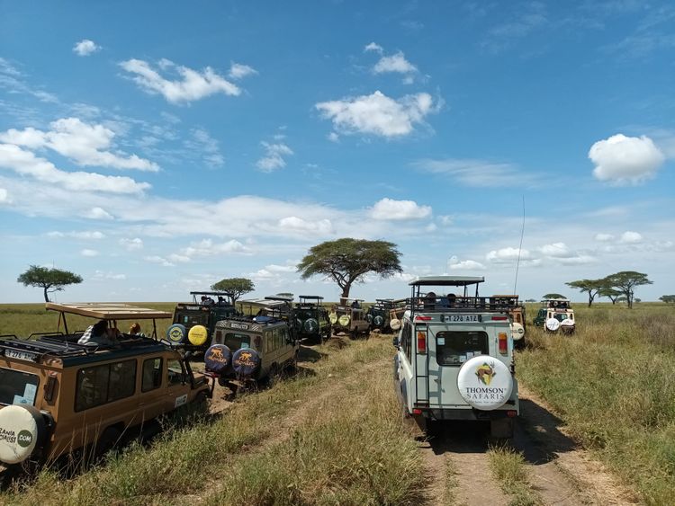Our Honeymoon Part 3: First Safari ride in Serengeti