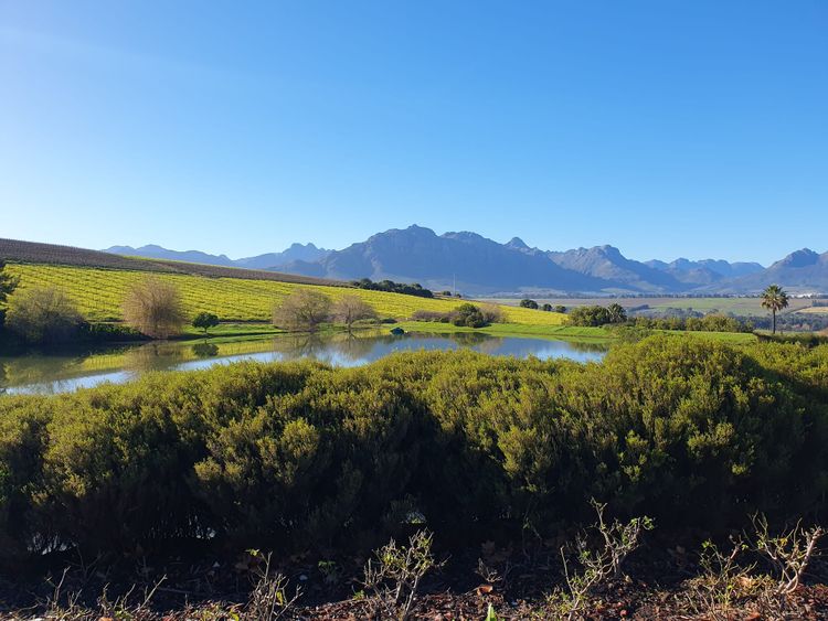 South Africa Wineries | Asara Wine Estate & Hotel in Stellenbosch