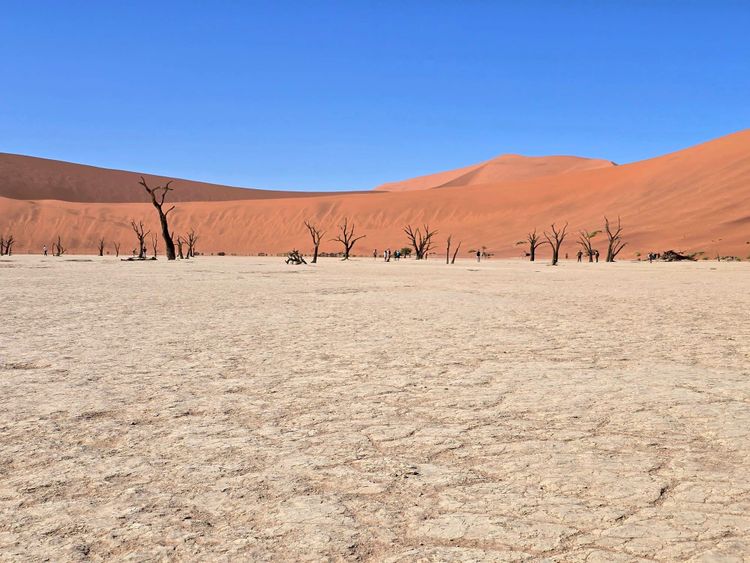 Our 7-day self-driving trip in Namibia