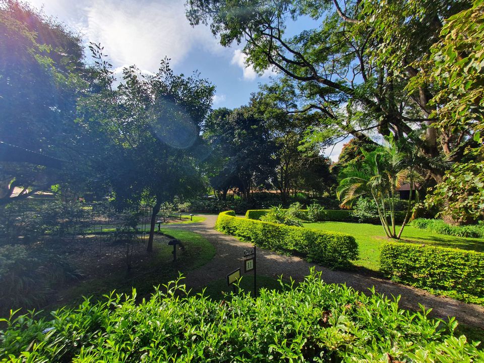 Our Honeymoon Part 2: Quick Arusha Stopover and journey to Serengeti