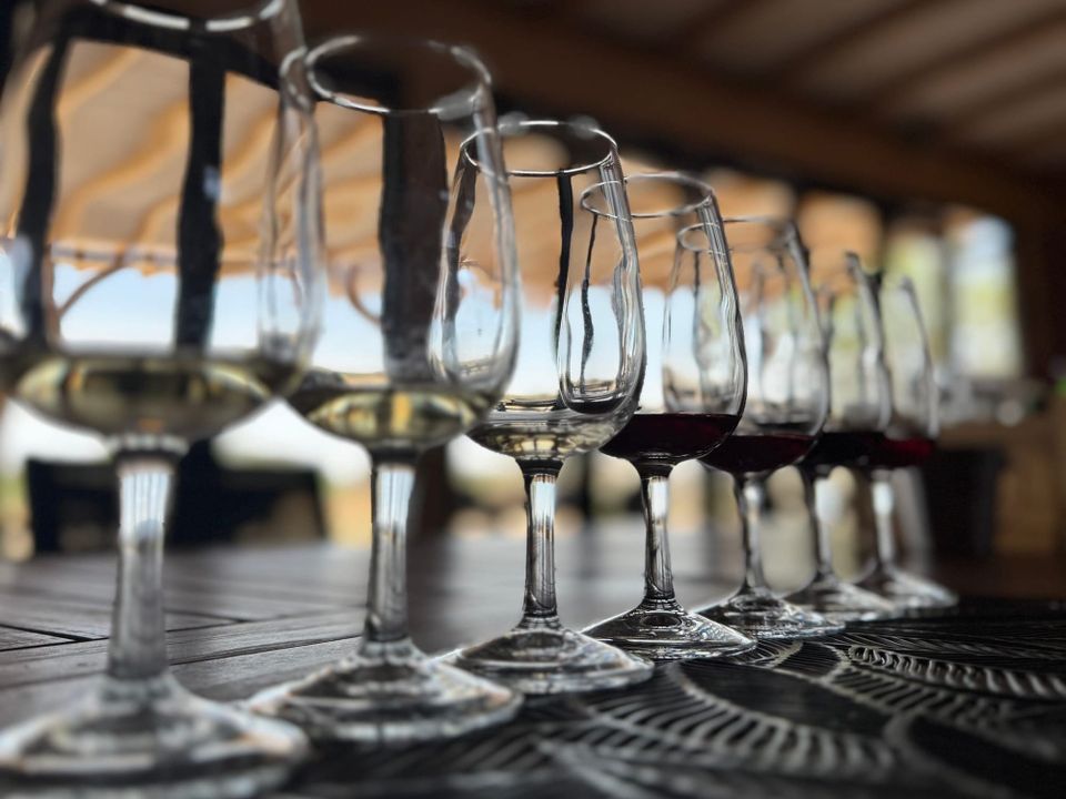 Namibia | The Erongo Mountain Winery & Two Beards Coffee