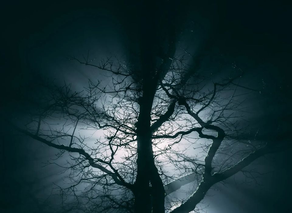 Stepping into the Lead