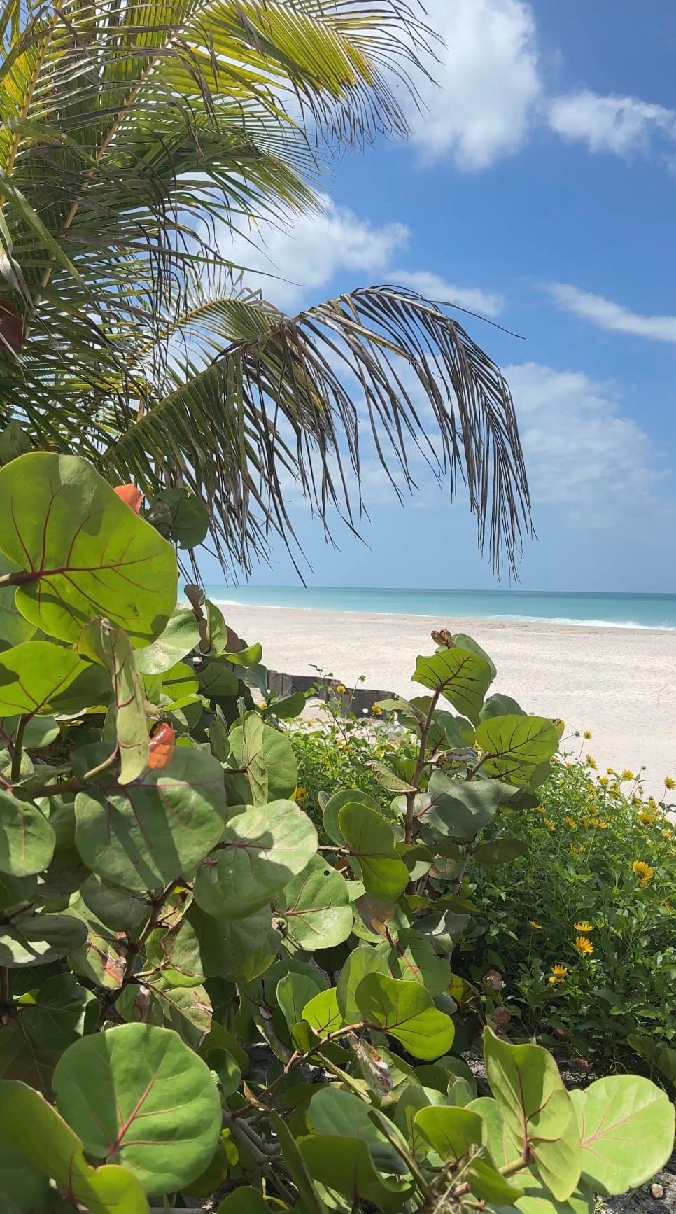 Greetings from Paradise