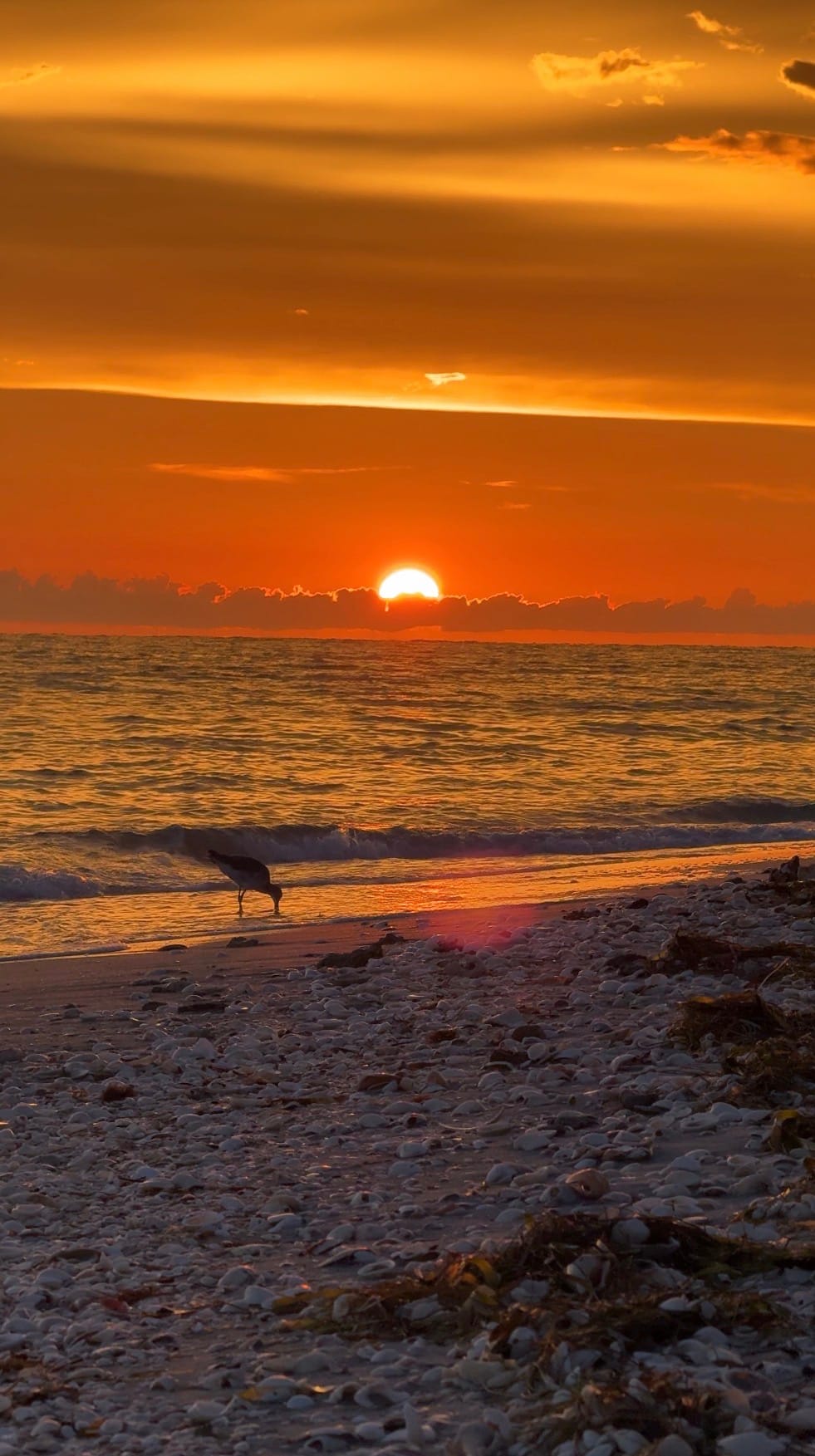 2025 Manasota Key Sunsets
