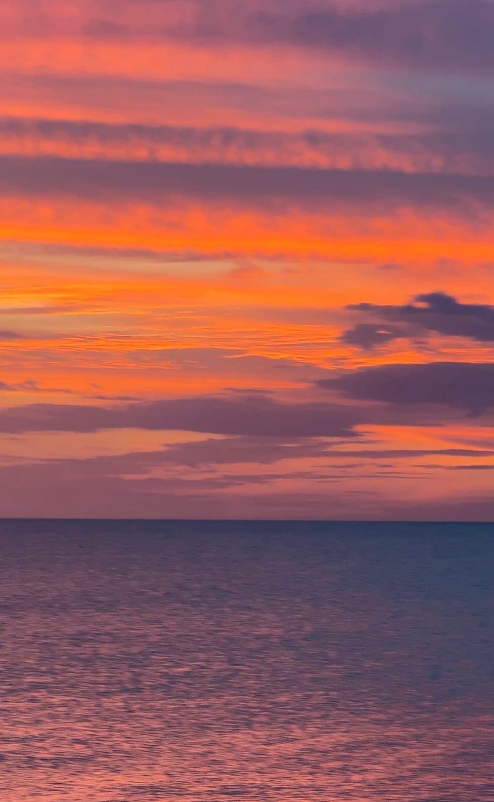 purple and pink sunset clouds over the gulf horizon on manasotakey key, florida