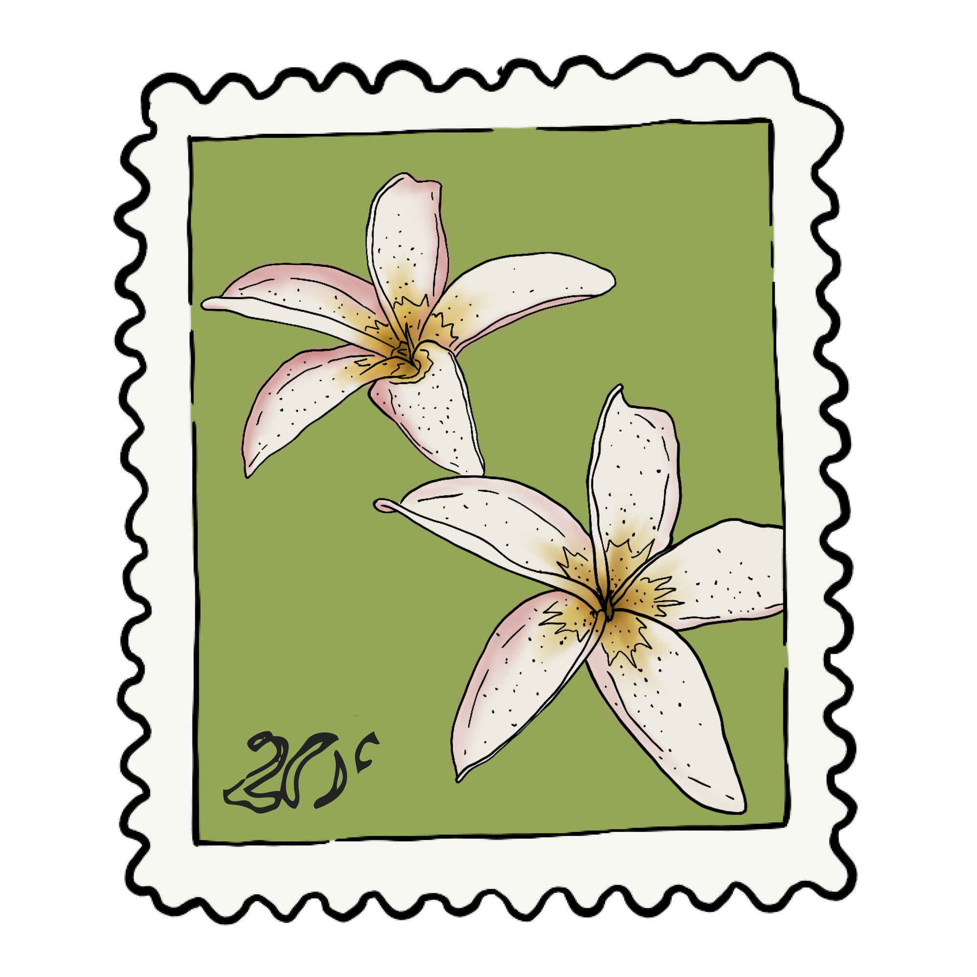 Plumeria