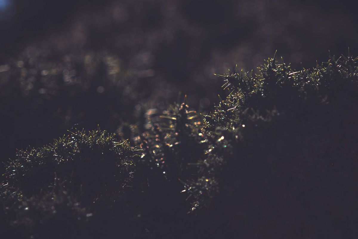 Colours Run Prime. Post feature image