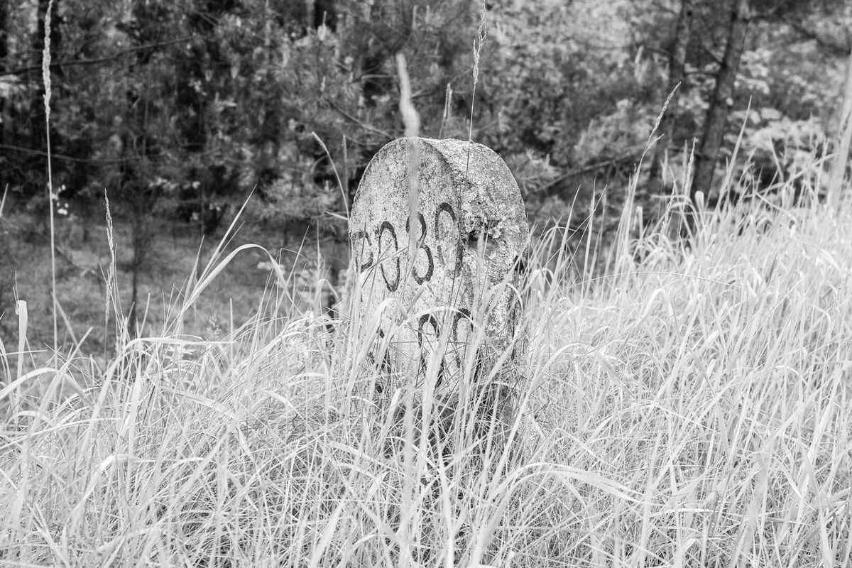 In_Fields_Redux. Post feature image