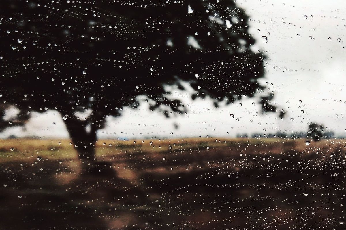 The Unspeakable World. Post feature image