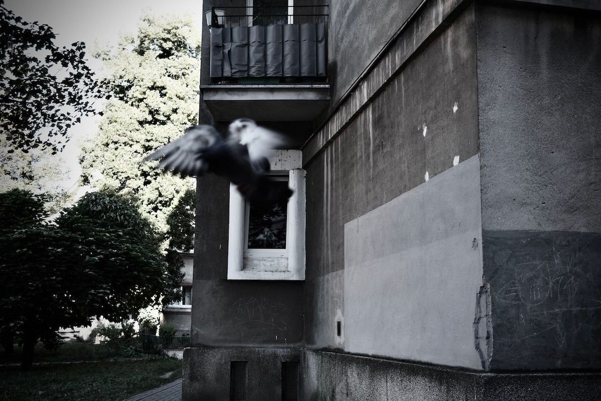 Hunger does not spare. Post feature image