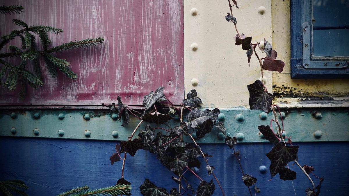 The Crossing. Post feature image