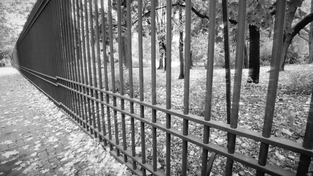 Synaesthesia: Grace Post feature image