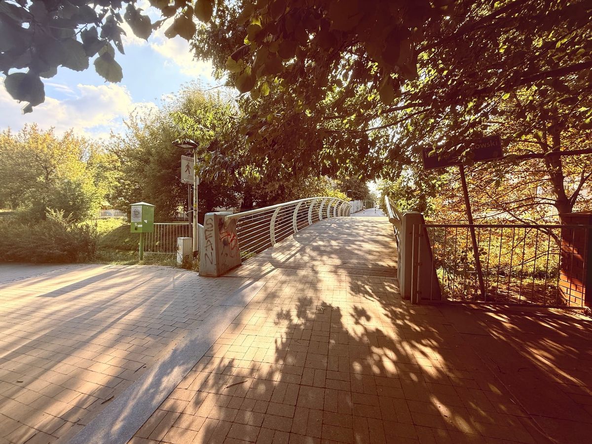 The Quiet Water: A Photographic Journey Post feature image