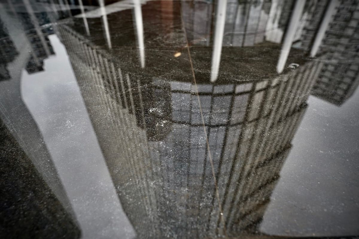 The Reticulated Subject Post feature image