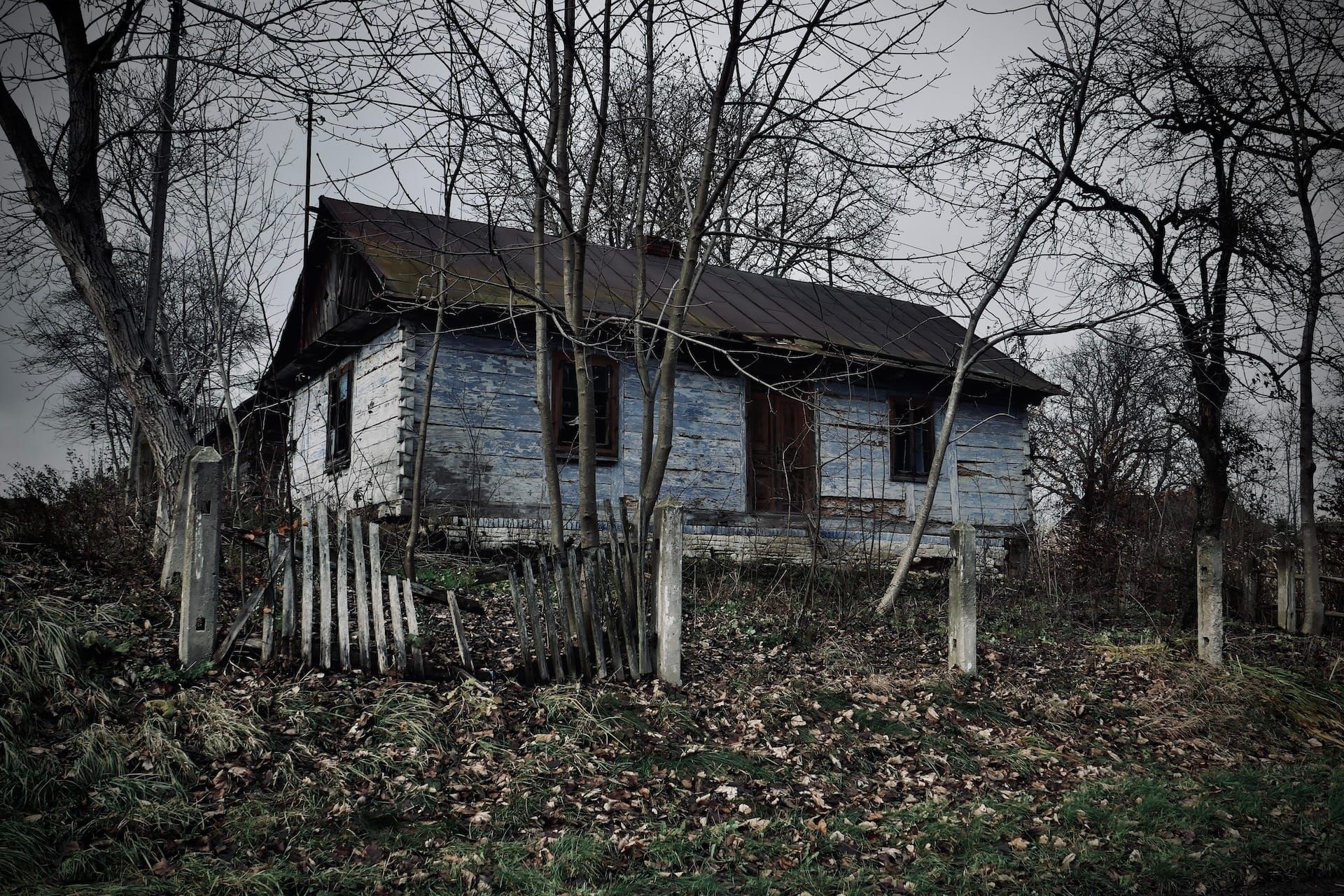 Pondering Vernacular. Post image