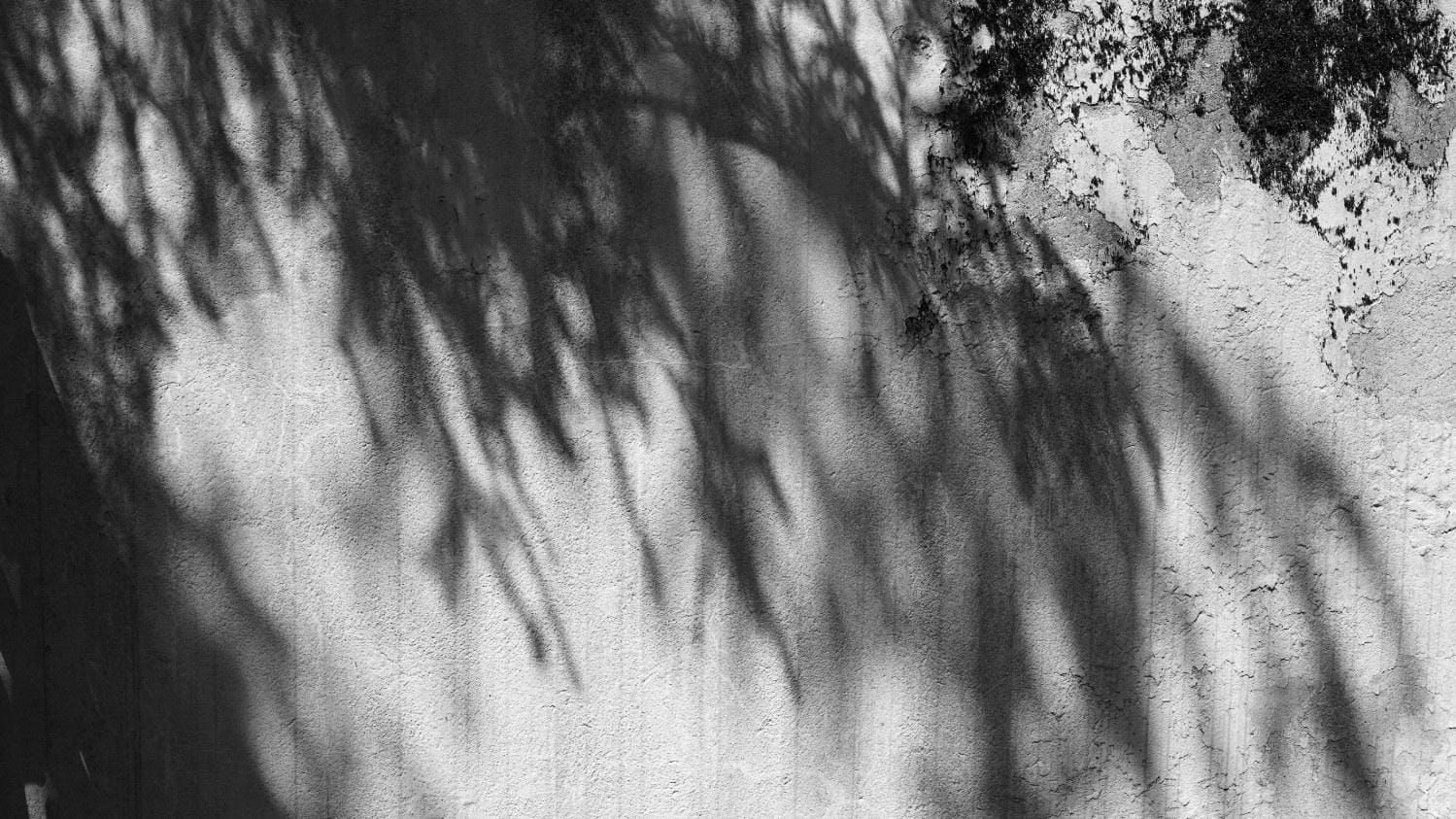 Synaesthesia: Solitude Post image