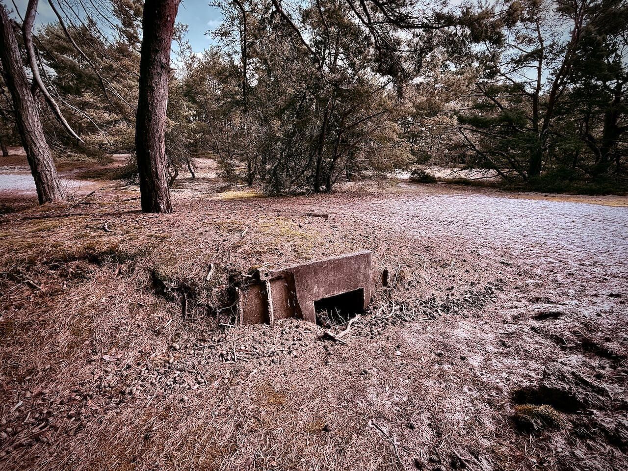 Terrain: Overwritten. Post image