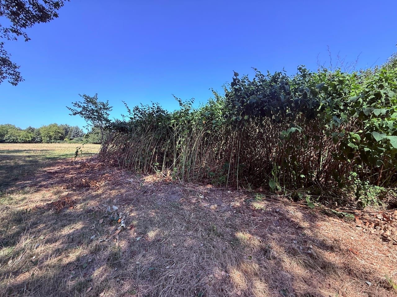 Against Learning: On Wandering and the Violence of Progress Post image