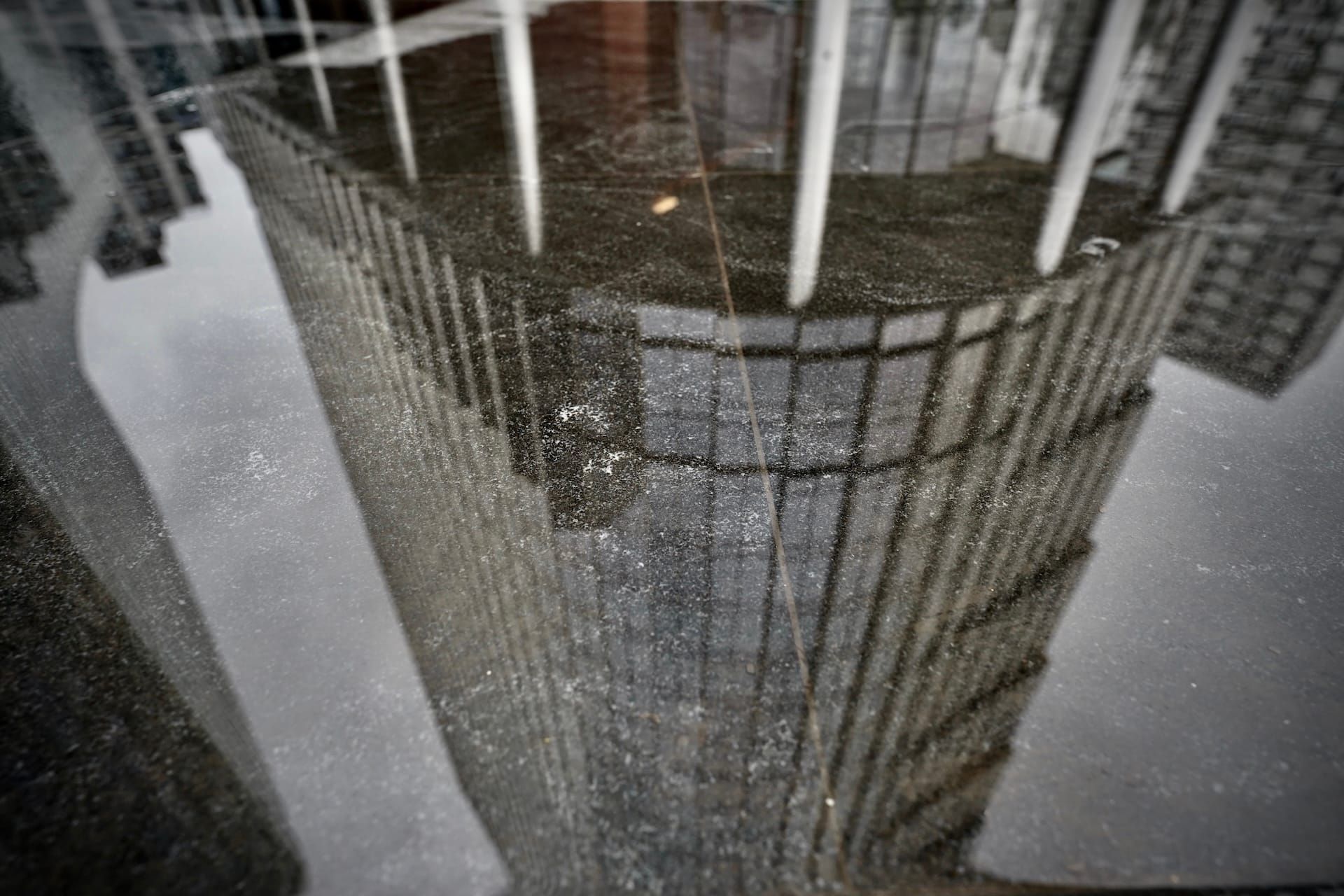 The Reticulated Subject Post image