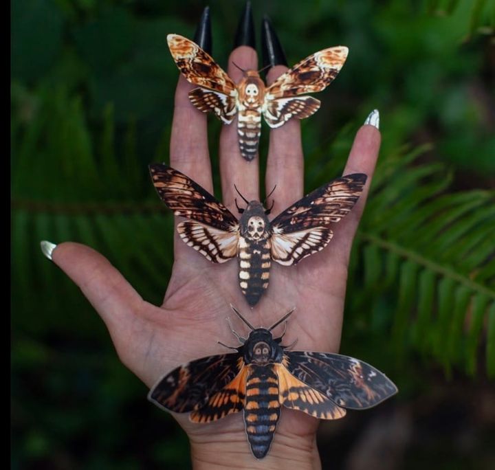 This Is The One About Death