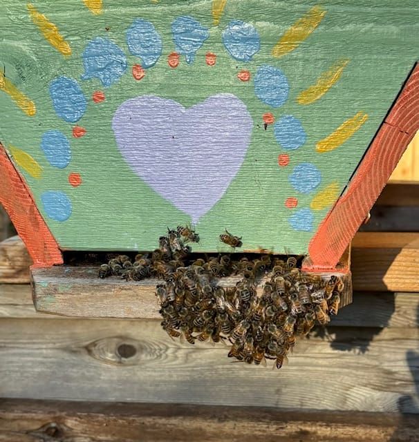 The Care Of All Things